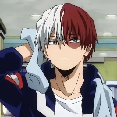 Profile image of Shoto Todoroki