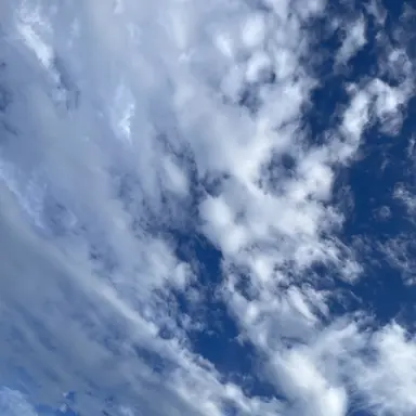 Profile image of 폭싹속았수다