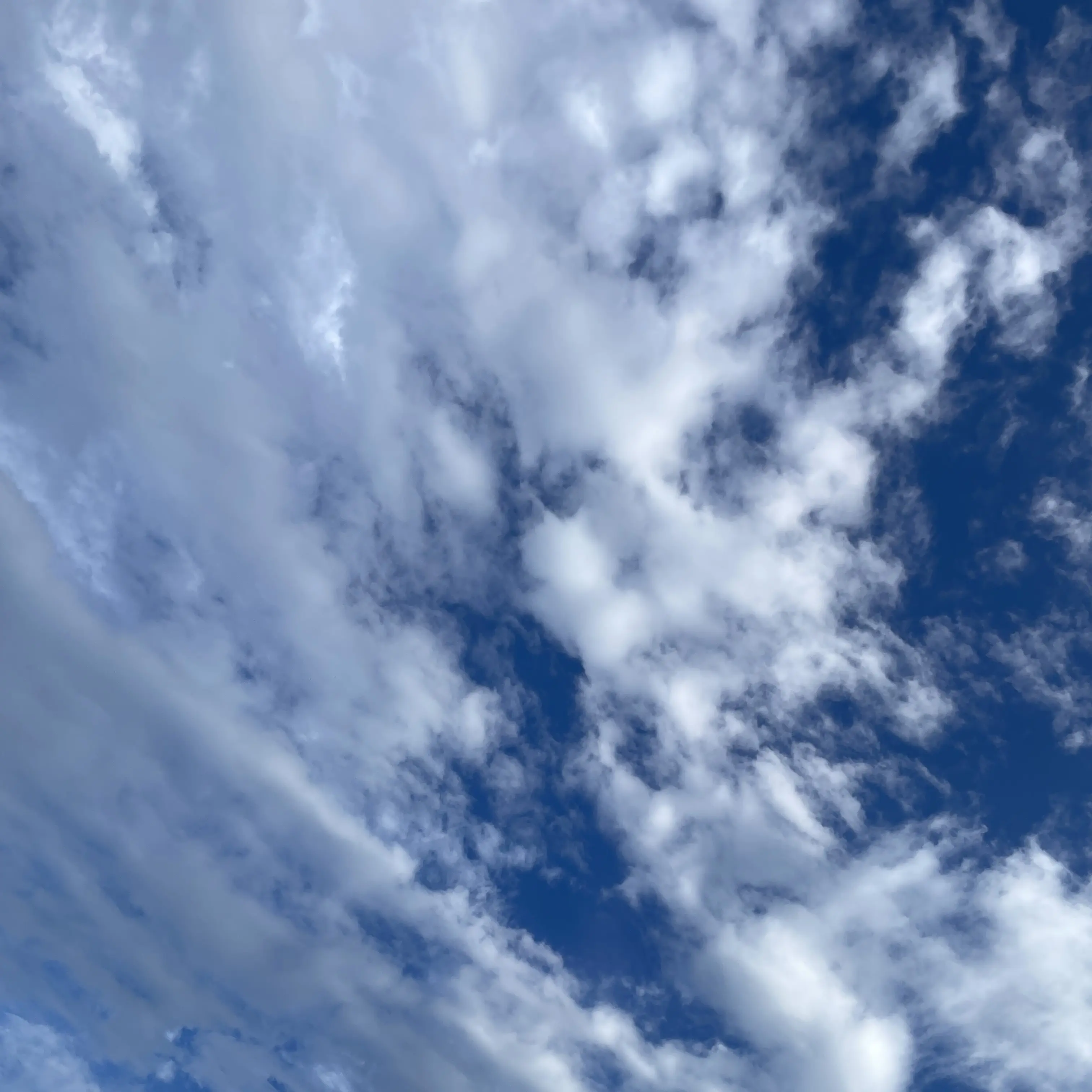 SubtleVideo1374의 폭삭 속았수다