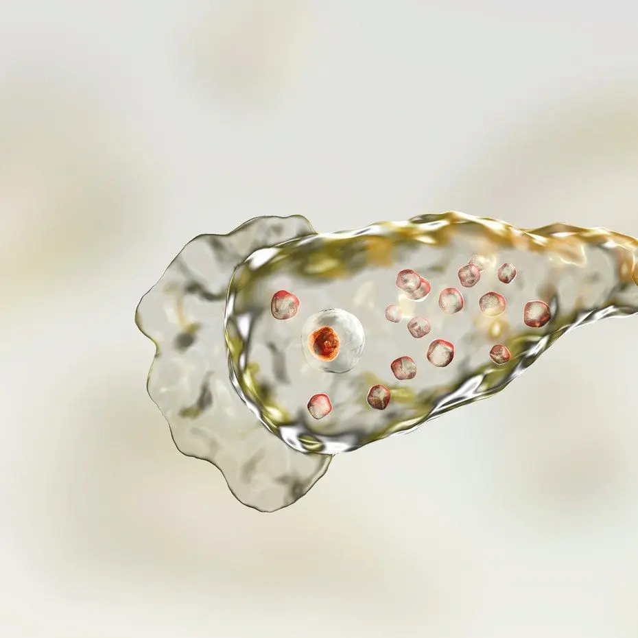 MightyEland4235의 フォーラーネグレリア・アメーバ