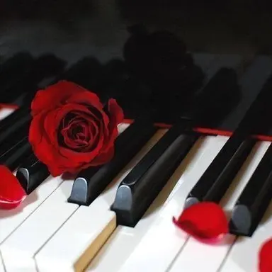 Profile image of 宮舘涼太