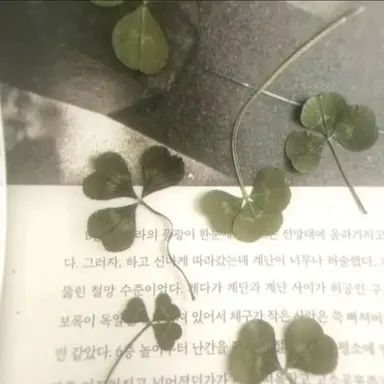 Profile image of 수쟁