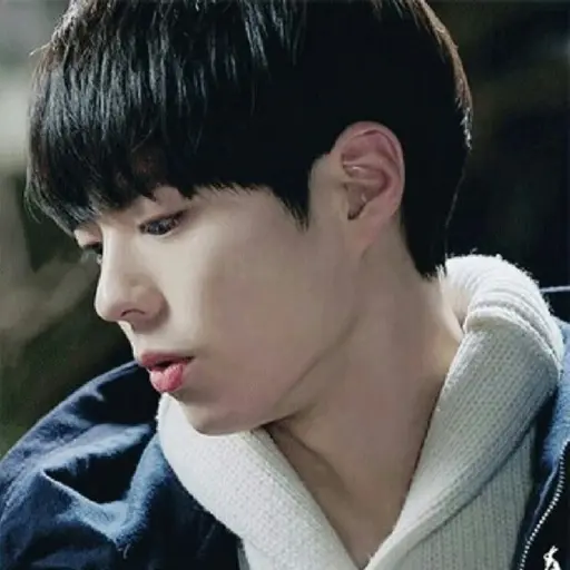 shany0229의 홍시화