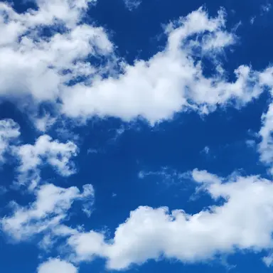 Profile image of 유저