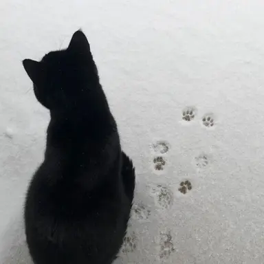 Profile image of 한동믽