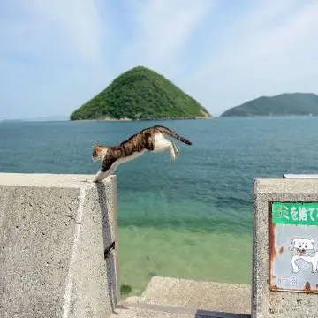 MauveCrest2665의 오동마을