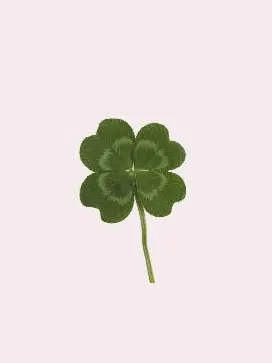 3o3...의 明日が来る保証なんてないからさ