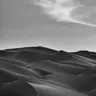 Profile image of 김늑대