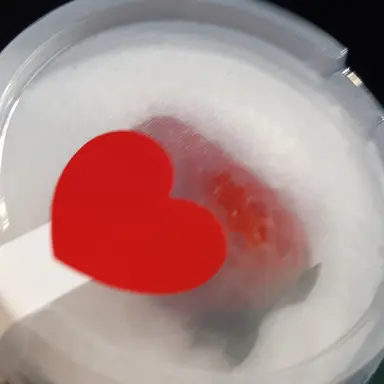 Profile image of 격리학생