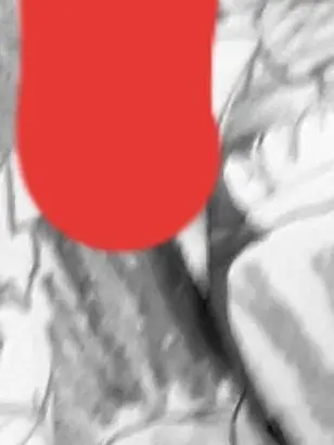 CannyMiki2695의 fpe드레스vs정장(내 사심)