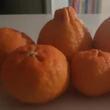 Profile image of fpe중학교 교사