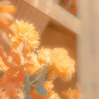 Profile image of 덕길