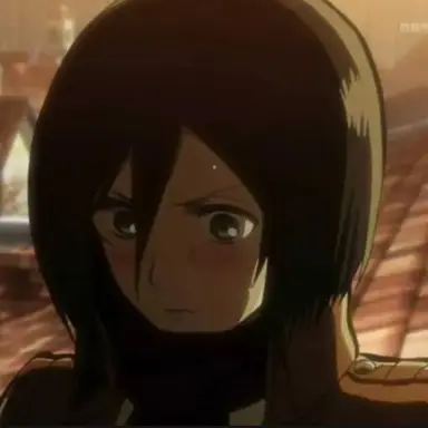 Profile image of ミカサ・アッカーマン
