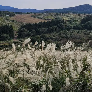 Profile image of 정재은