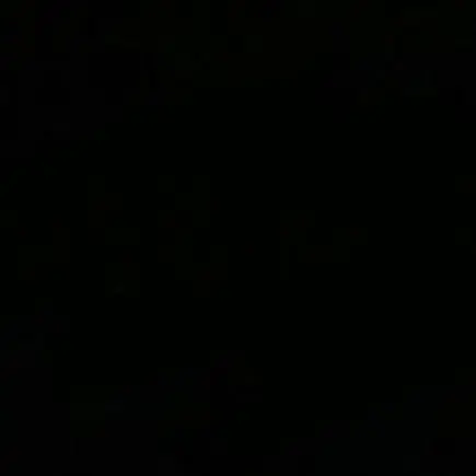 reh의 ­
