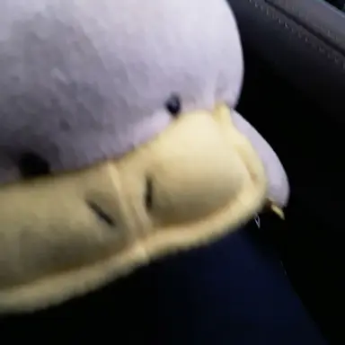 Profile image of 라이칸