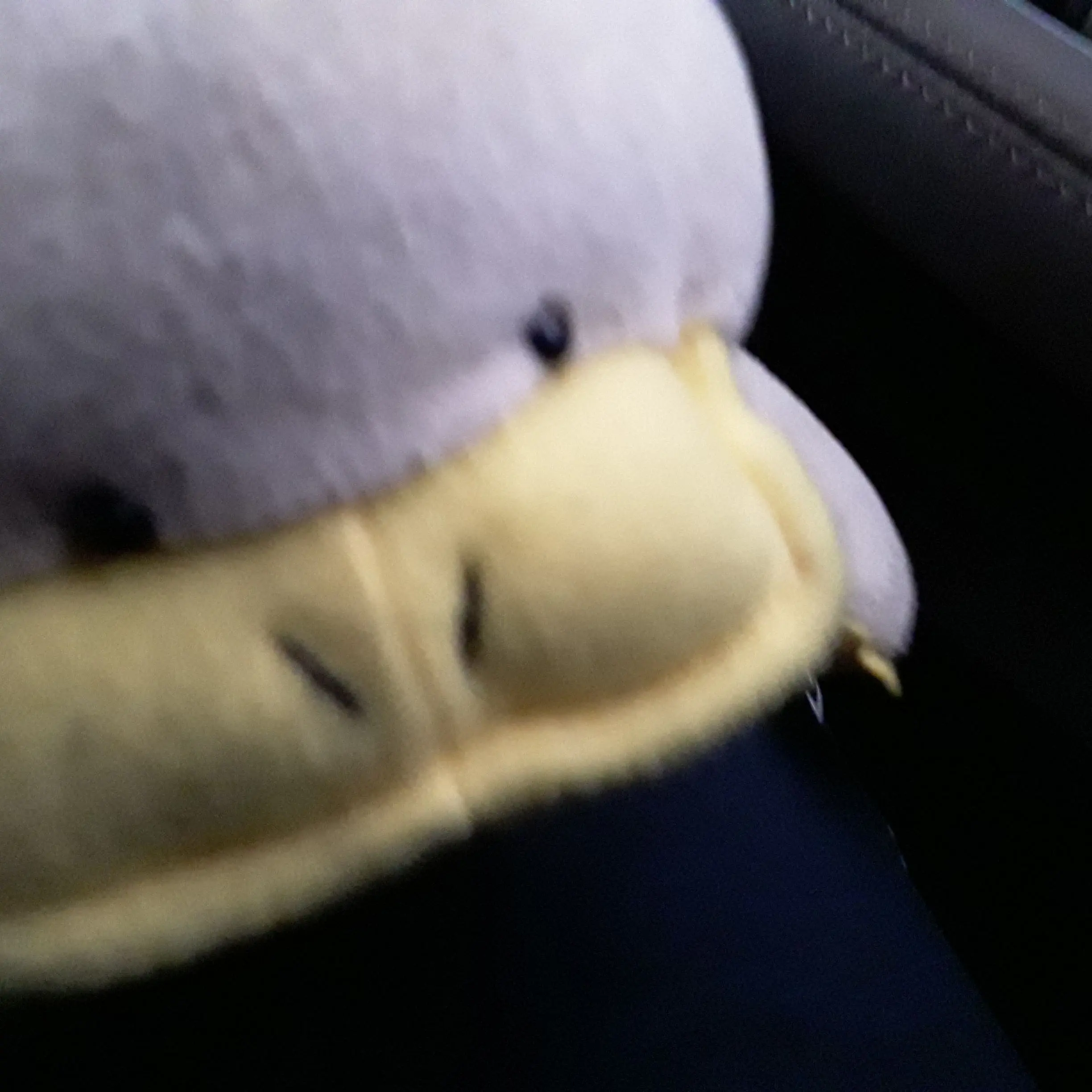 OrnateTosa0491의 일주일의 시간. 지옥을 끝네라!