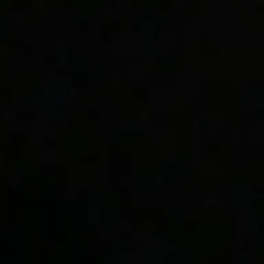 Profile image of K