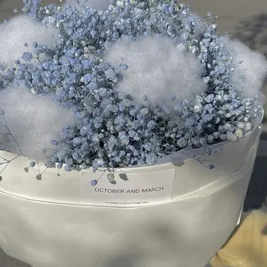 Profile image of 서라더