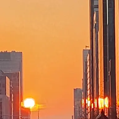 Profile image of 서 라더