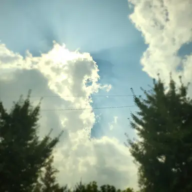 Profile image of 정 공룡