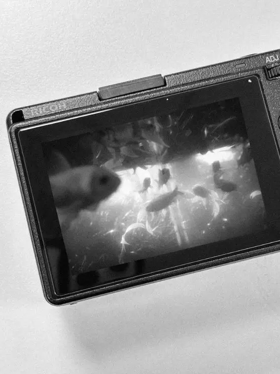 Xr01의 魚のようなあなた