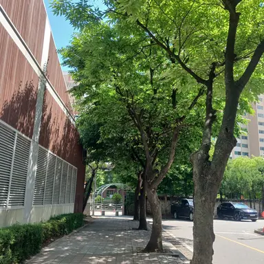 Profile image of 준브