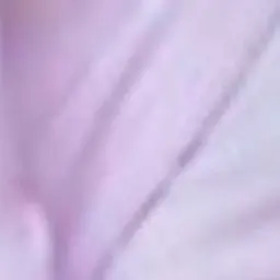 Profile image of 岩本辰哉