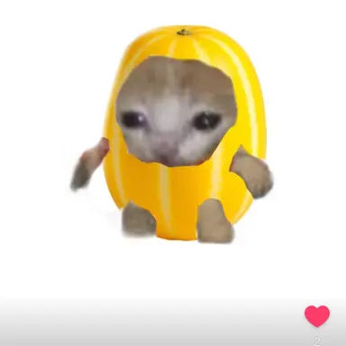 Profile image of 참외캣