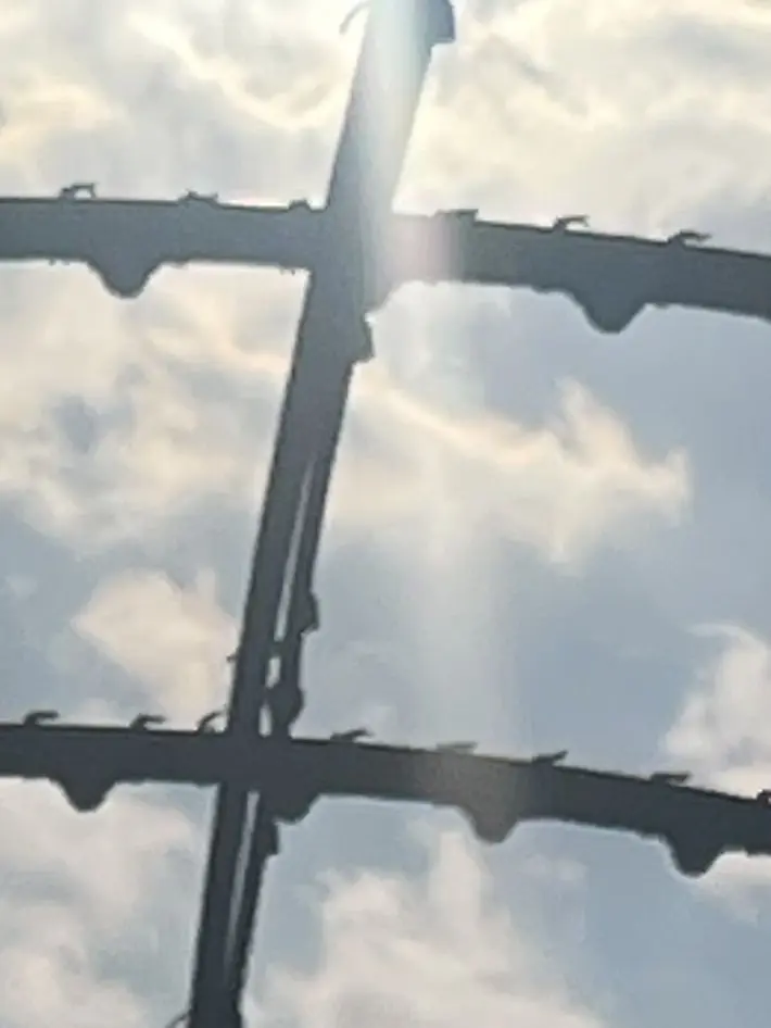 HardMucus0939의 화려한 도시 속, 어두운 무리들…