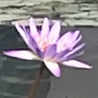 Profile image of 수현