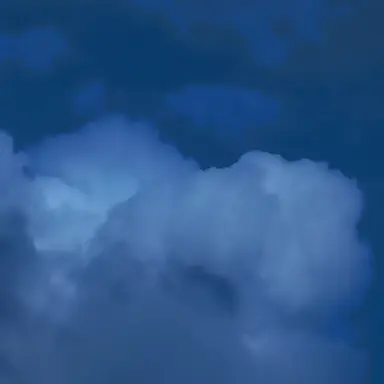 Profile image of 아이돌 학교