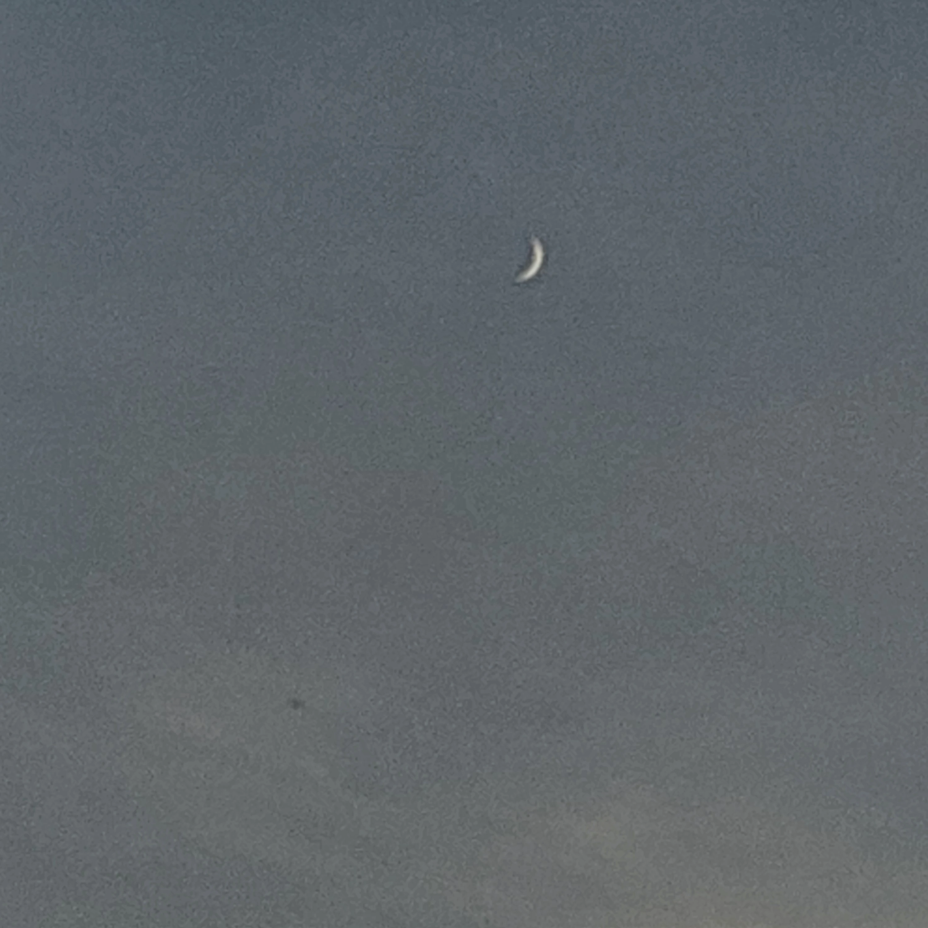 숝영