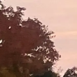 Profile image of 라더