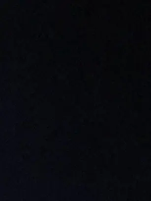 HardMucus0939의 집에 일단 데려와봤는데… 수인이라고?