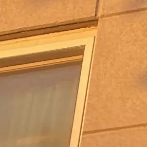 Profile image of 덕개