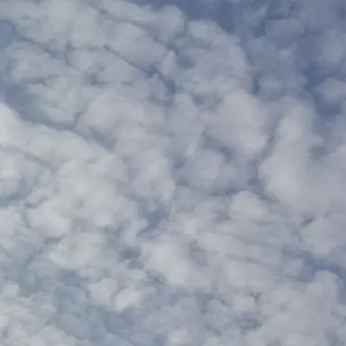 Profile image of 잠뜰