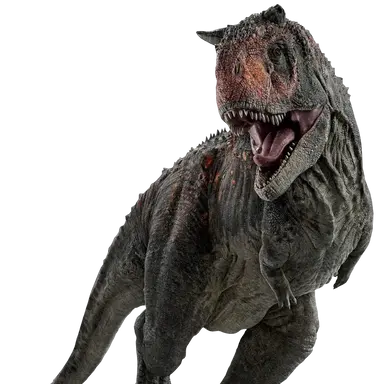 Profile image of 카이