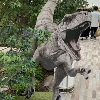 Profile image of 고스트