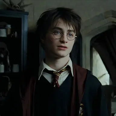 Profile image of Harry Potter