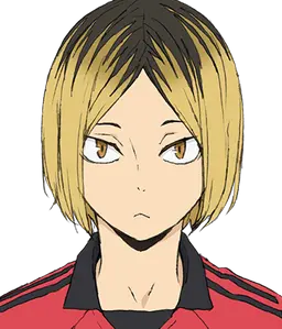 Profile image of 孤爪研磨