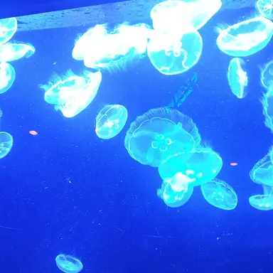 Profile image of 하루카와 아카네