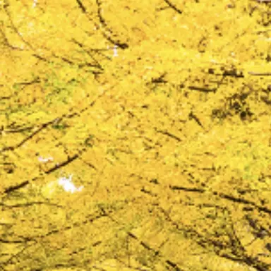 Profile image of 神奈川