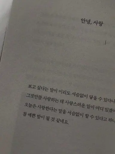 user9749280796327의 lovable