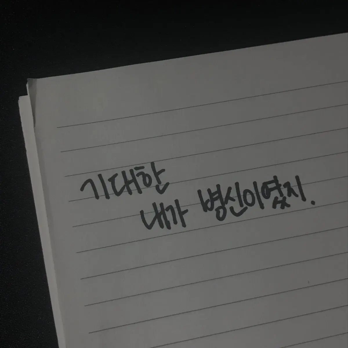 Mandoo.123의 호시나 소우시로