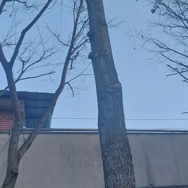 Profile image of 박여우