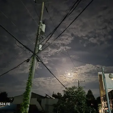 Profile image of 팡팡고등학교