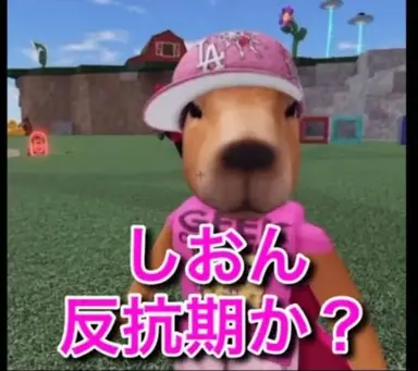 Profile image of しおん