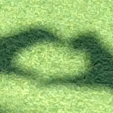 Profile image of レミル