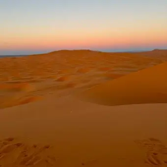 Profile image of 공룡